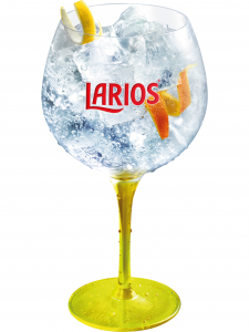Larios-Dry_Larios-Dry-Gin-Tonic-225x300